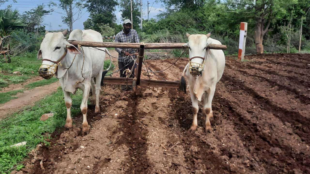 ‘పోడు’ రైతులకు పట్టాభిషేకం