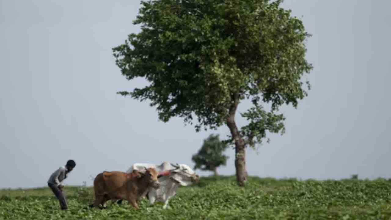 UP farmer | రూ.1.6 కోట్ల పన్ను చెల్లించాలంటూ.. యూపీ రైతుకు 23 నోటీసులు