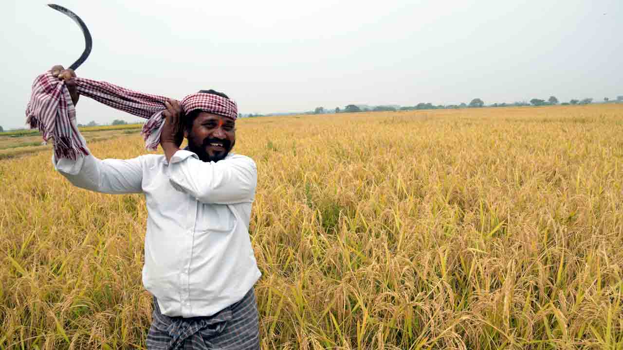 Farmer Telangana