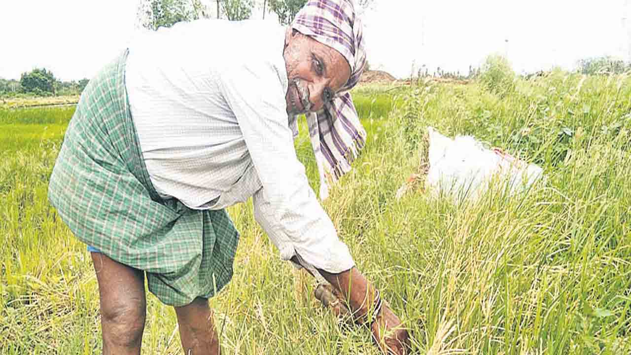పెట్టుబడికి రంది లేదు