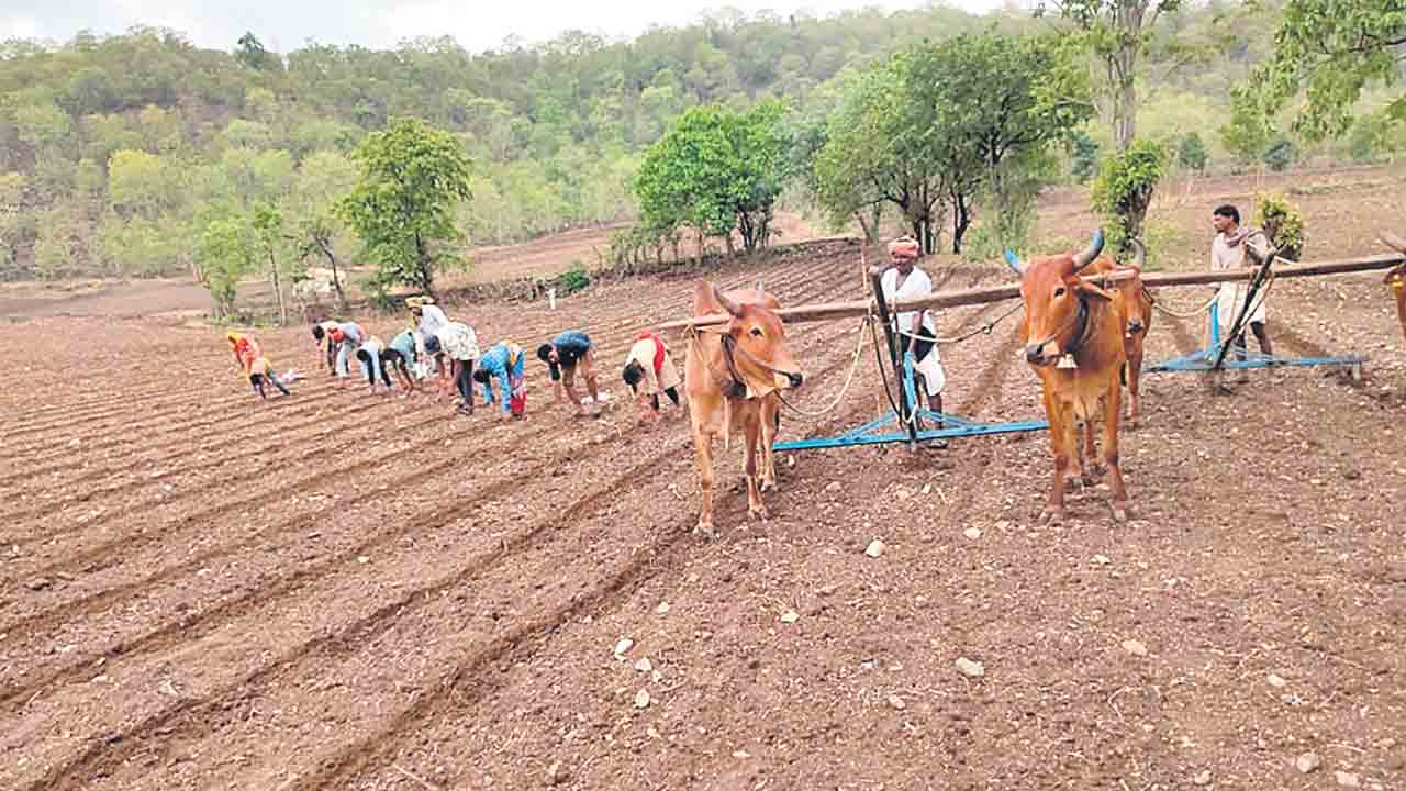 Farmers