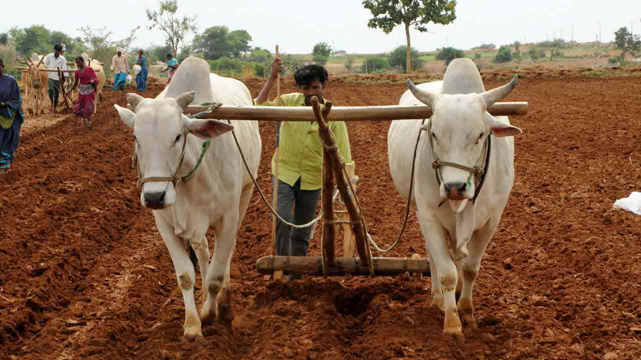 తొలకరి పలకరింపు