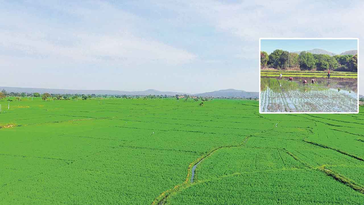 దుబ్బ బుక్కనా దుబాయి వోవుడు?