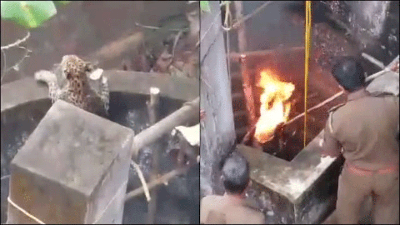 viral video | బావిలో ప‌డిన చిరుత‌ను కాపాడేందుకు గ్రామ‌స్తులు ఏం చేశారంటే..!