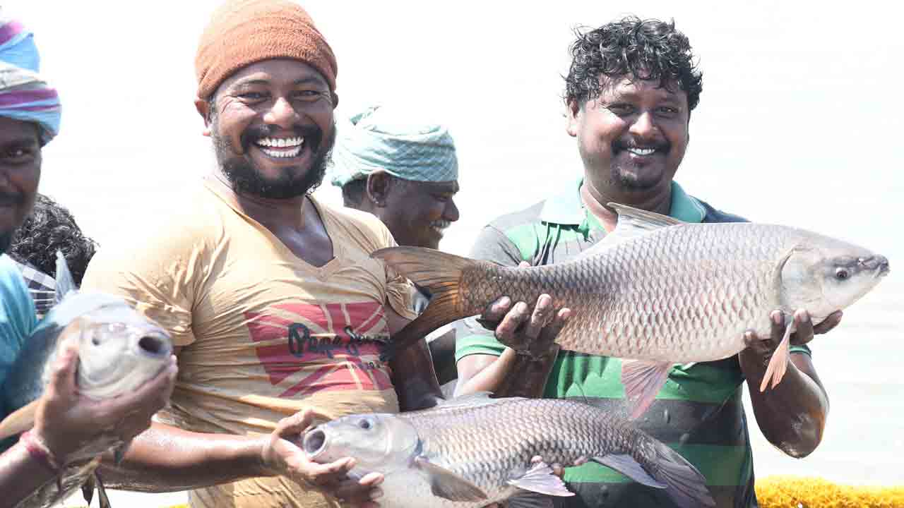 Fish Telangana
