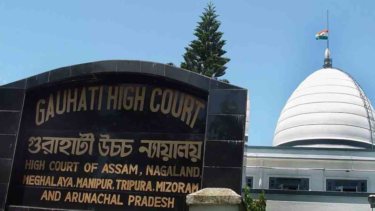 రెజ్లింగ్‌ సమాఖ్య ఎన్నికలపై గువాహటి హైకోర్టు స్టే