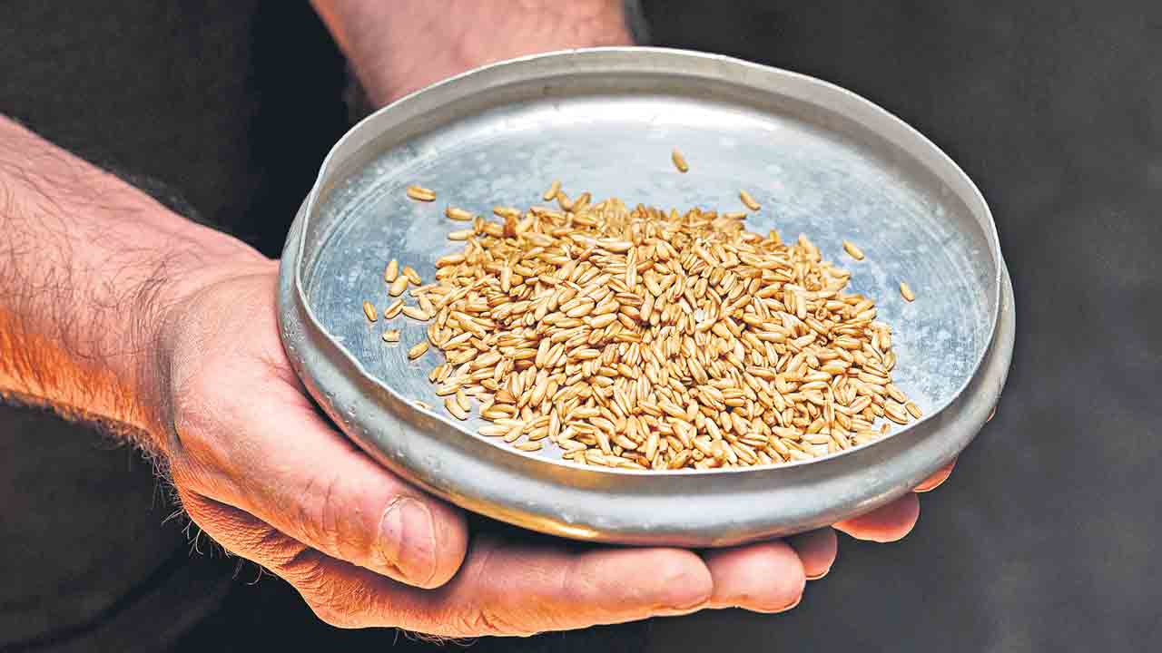 BJP |  చేతులెత్తేస్తున్న బీజేపీ సర్కారు.. దేశంలో ఆహార ధాన్యాల కొరత.. దిగుమతులపై కేంద్రానికి కొరవడిన ముందస్తు ప్రణాళిక