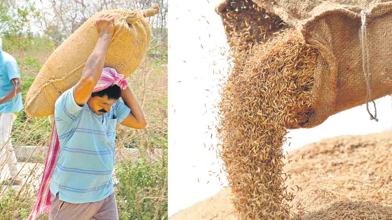 ధాన్యం దండిగా