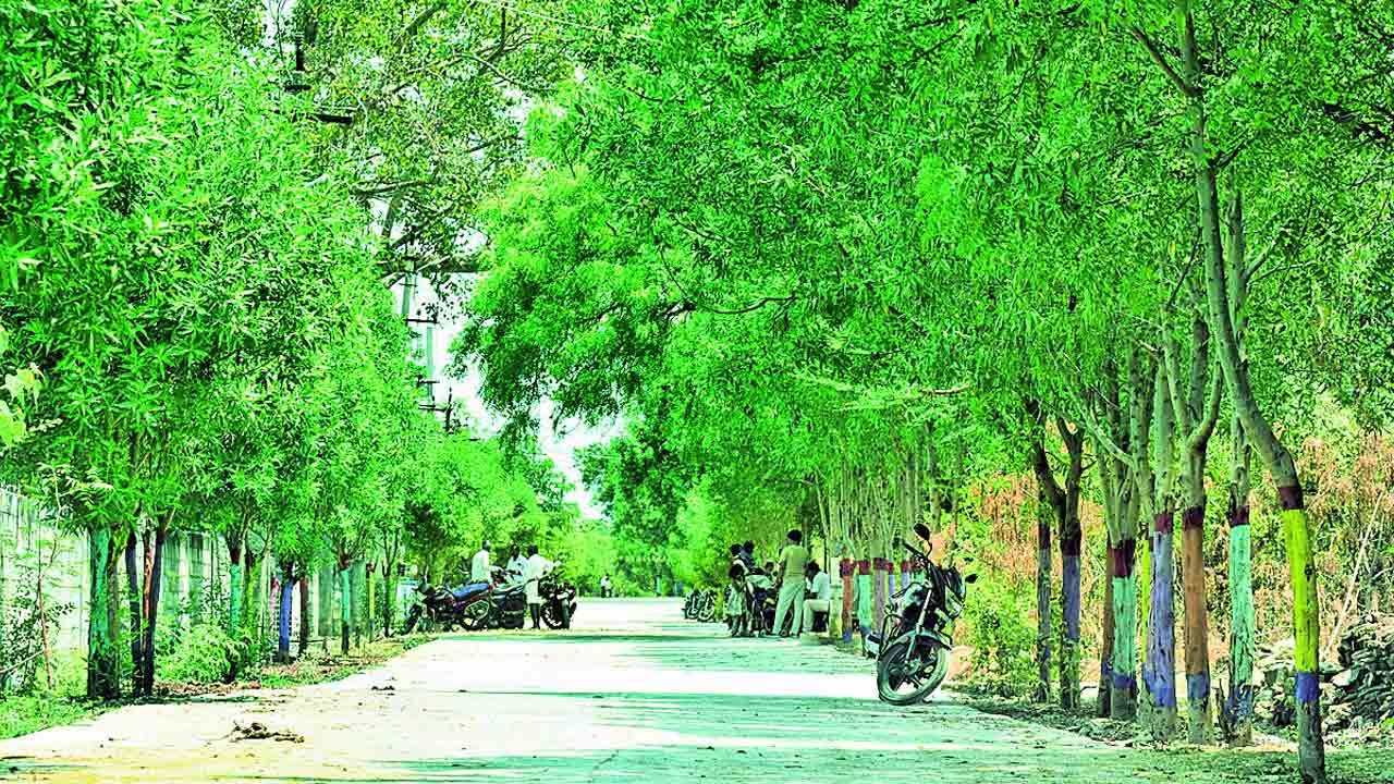 హరిత తోరణం