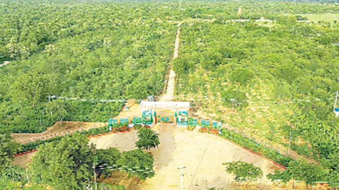 Haritha Haaram | తెలంగాణ‌కు మ‌రో హ‌రిత విజ‌య ఘ‌న‌త‌.. మంత్రి కేటీఆర్ హ‌ర్షం