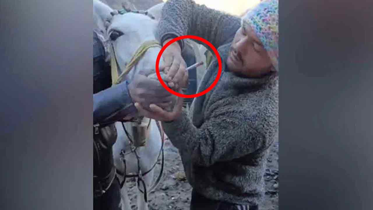 Must Watch: గుర్రంతో బలవంతంగా గంజాయి తాగించిన వ్యక్తులు.. వీడియో వైరల్‌, ఒకరు అరెస్ట్‌