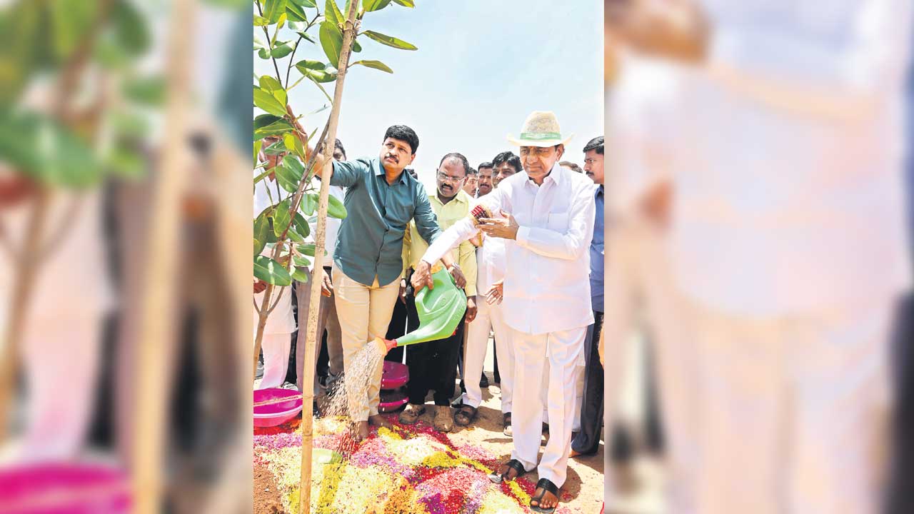 ప్రకృతిని కాపాడుకుంటే భావి తరాలకు సుఖసంతోషాలు