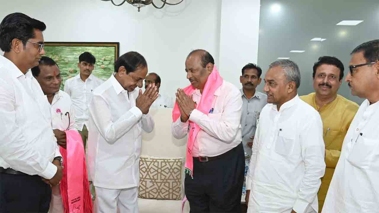 Kcr Brs1