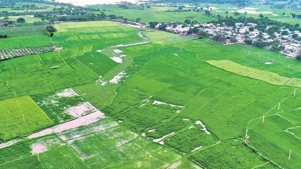 KTR | నెర్రెలు బారిన ఈ నేల‌.. ద‌శాబ్ది లోపే 2 కోట్ల ఎక‌రాల ప‌చ్చ‌ని మాగాణ‌మైంది : మంత్రి కేటీఆర్