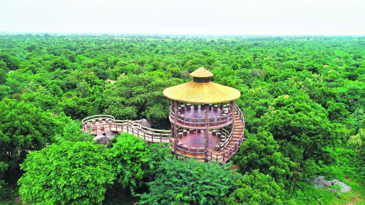 KTR | ద‌శాబ్దాల పాటు ధ్వంస‌మైన ప‌ర్యావ‌ర‌ణానికి వ‌రం.. తెలంగాణ హ‌రిత‌హారం : మంత్రి కేటీఆర్