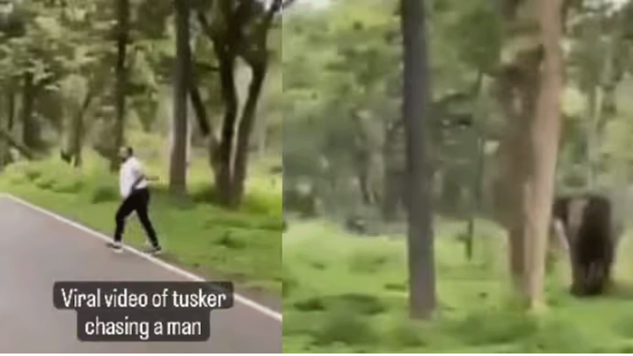 Viral Video | వ్య‌క్తిని వెంబ‌డించిన ఏనుగు..ఆపై అనూహ్యంగా.!