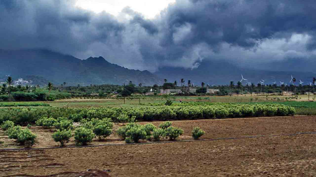 మందకొడిగా నైరుతి