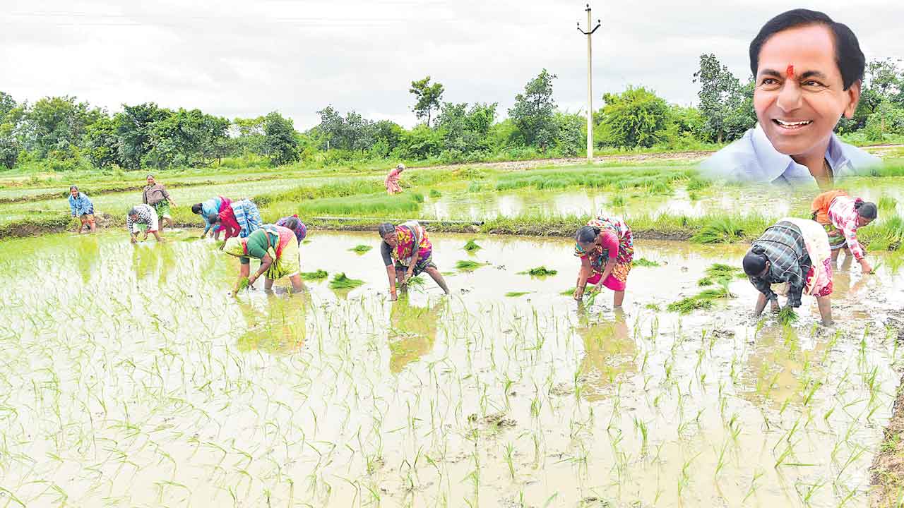 సాయం సంబురమై.. సాగుకు సన్యద్ధమై..