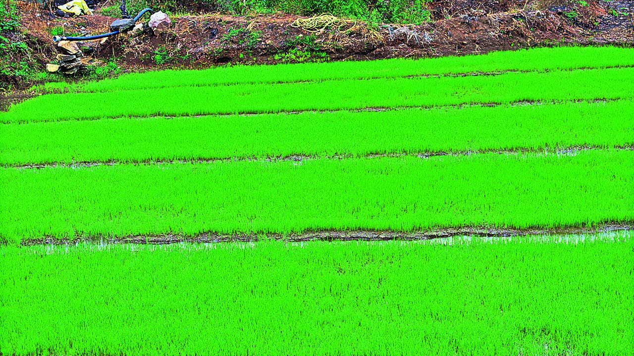 ఏరువాక జోరందుకోగ..