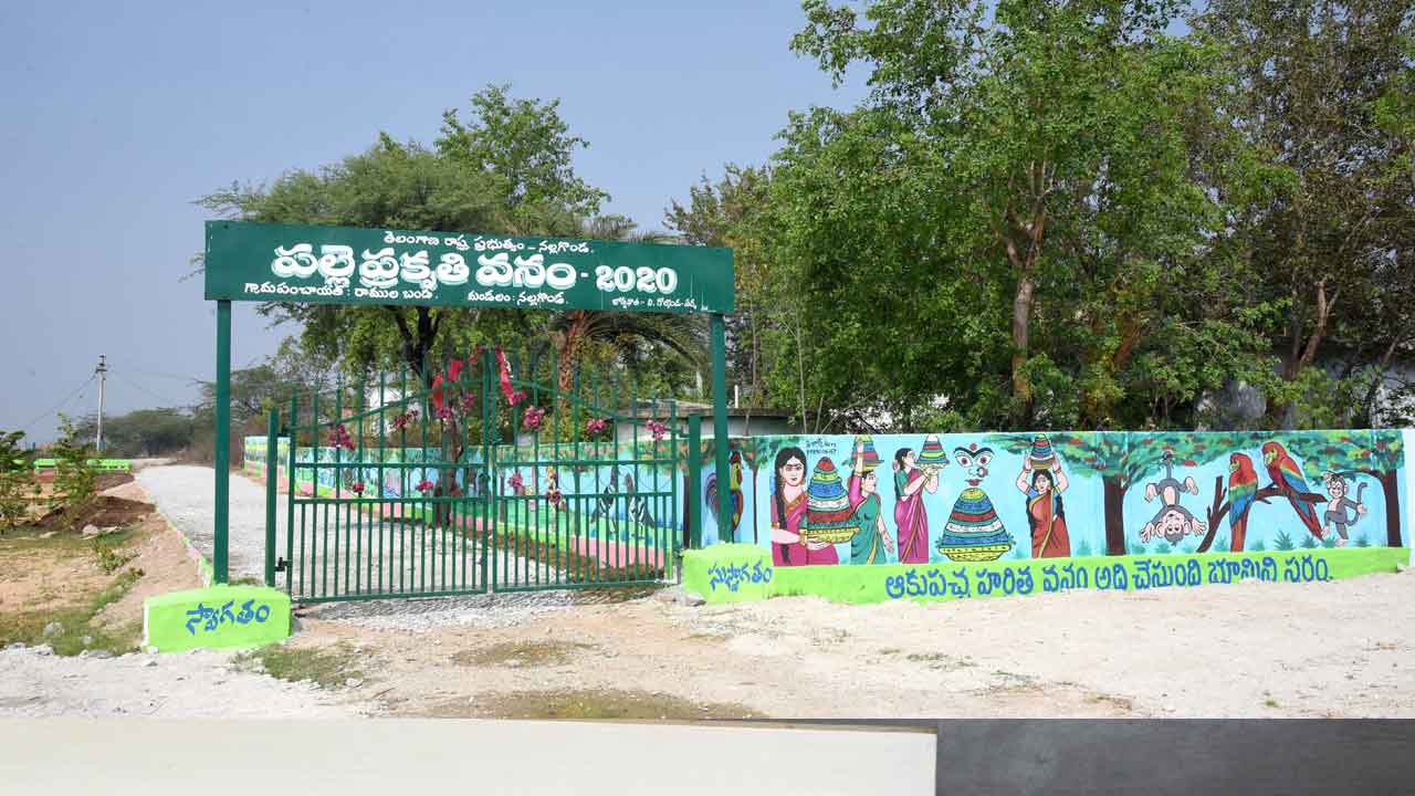 పల్లెవించిన ప్రగతి