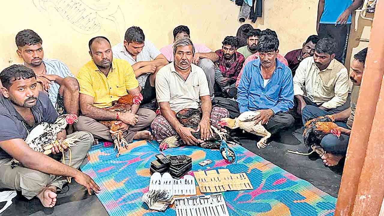 కోడి పందాల స్థావరంపై దాడులు