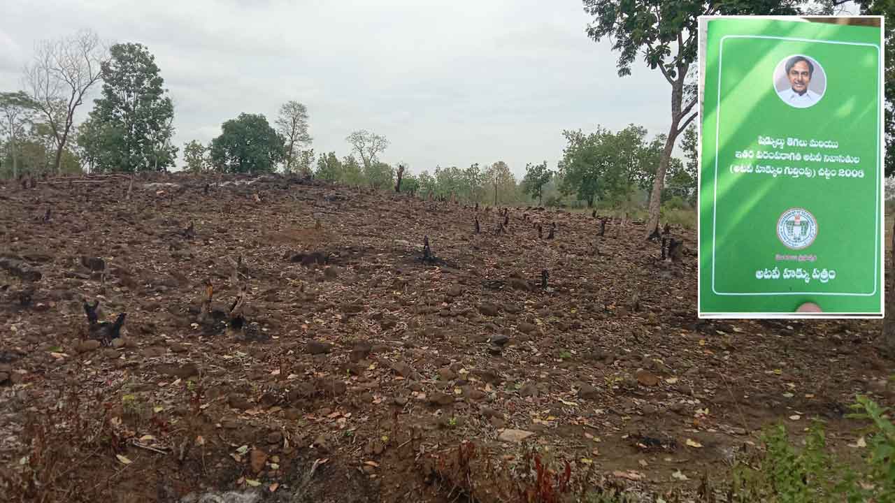 పోడు రైతుకు పట్టాభిషేకం