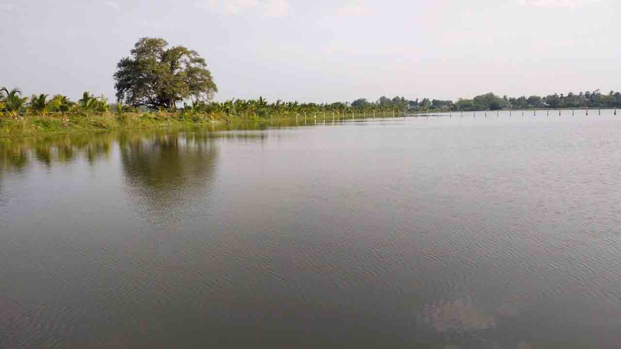 మిషన్‌ కాకతీయ సక్సెస్