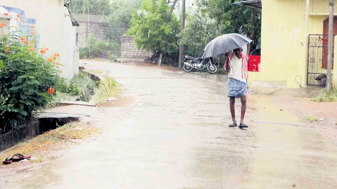 Rains