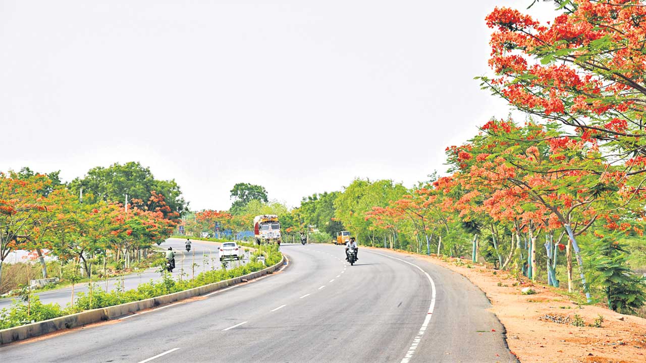 సీఎం కేసీఆర్‌ పాలనలో హరిత ఉద్యమం