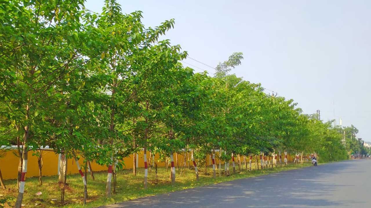 పల్లె పల్లెనా  ప్రగతి