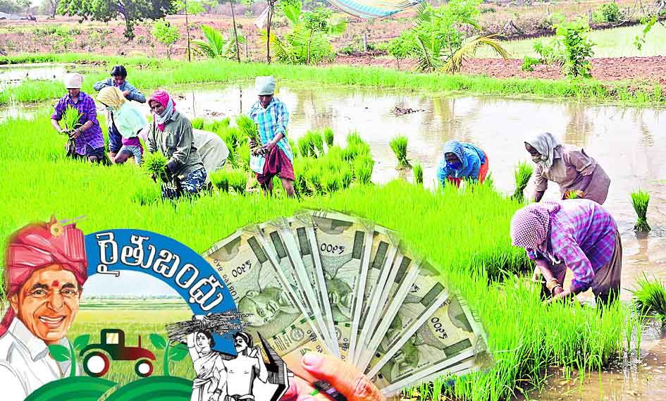 రైతుబంధు.. ఆర్థిక ఆదెరువు