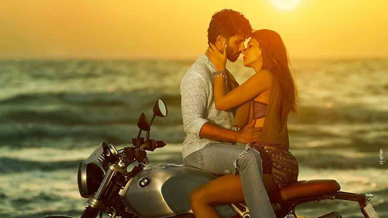 Shahid Kapoor | షాహిద్‌ కపూర్‌ కొత్త సినిమా రిలీజ్‌కు ముహూర్తం ఫిక్స్‌