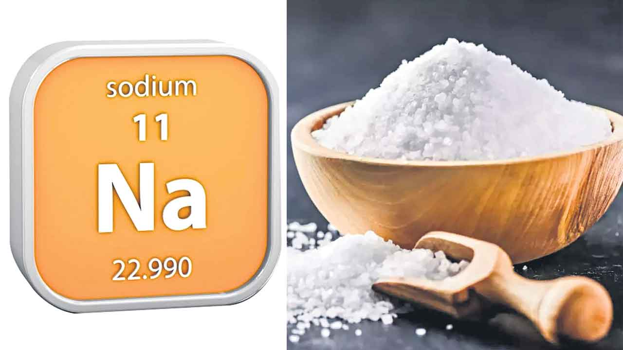 మితంగా సోడియం