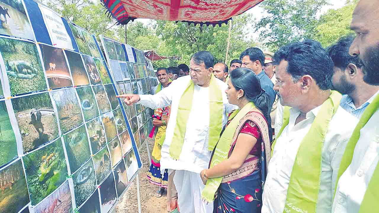 అడవులను కాపాడుకుందాం..
