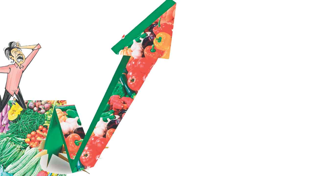 క్యారేట్‌హై!