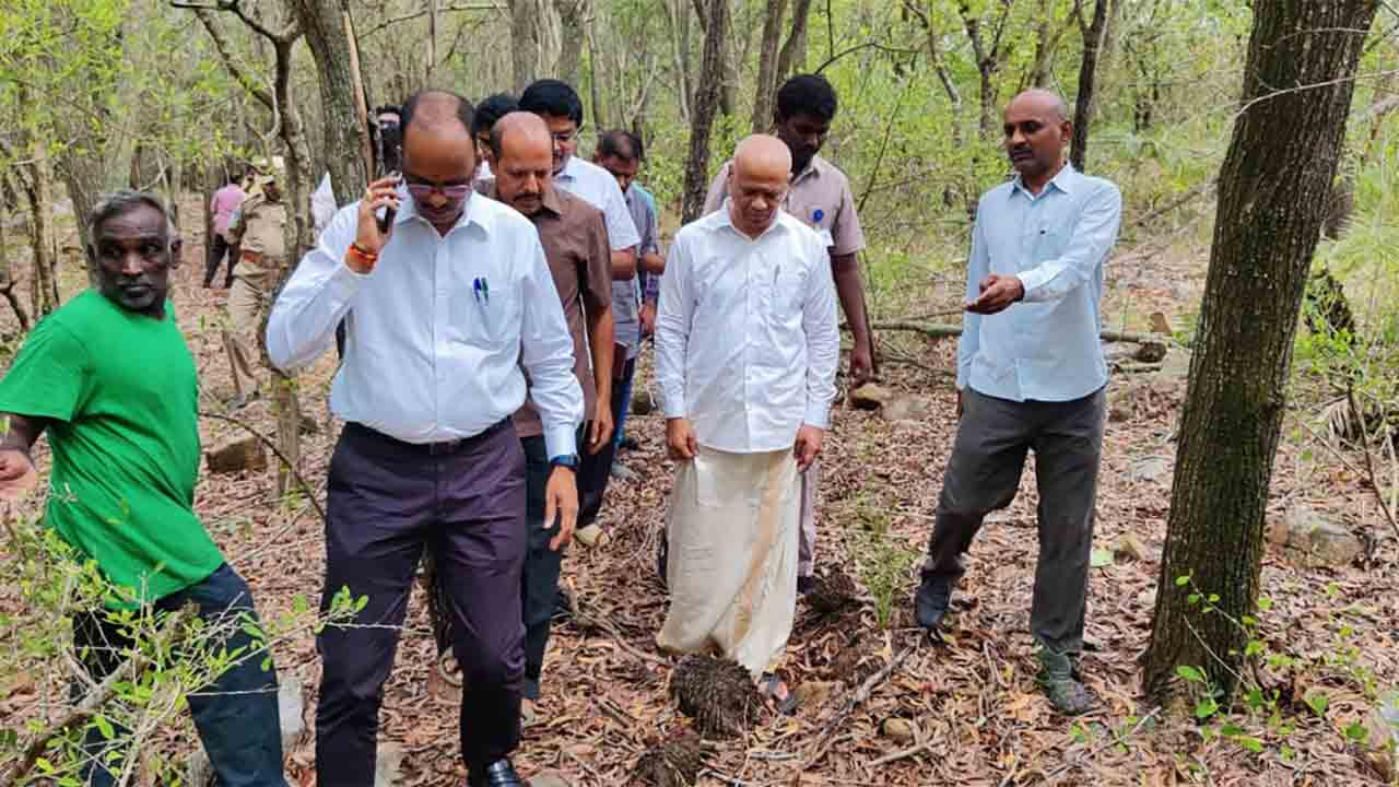 TTD | తిరుమలలో బాలుడిపై చిరుత దాడి.. కీలక నిర్ణయాలు తీసుకున్న టీటీడీ