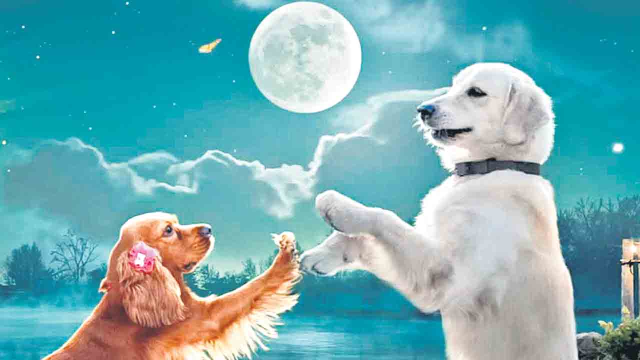 Valatty | పెంపుడు శునకాల సాహసం