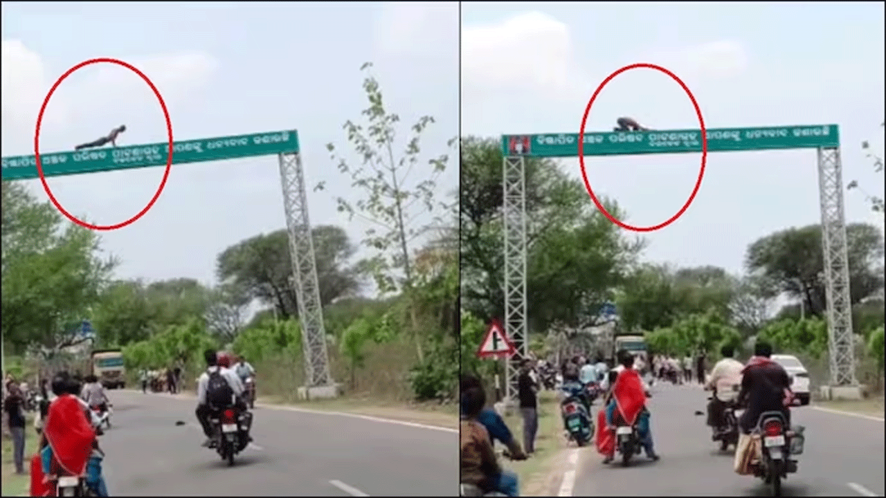 Viral Video | మ‌ద్యం మ‌త్తులో వ్య‌క్తి వీరంగం : సైన్ బోర్డుపై పుష‌ప్స్‌