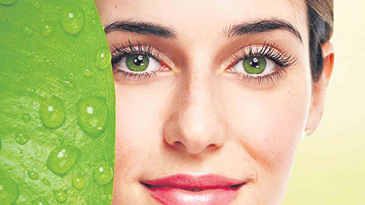 జిడ్డుకు అడ్డు