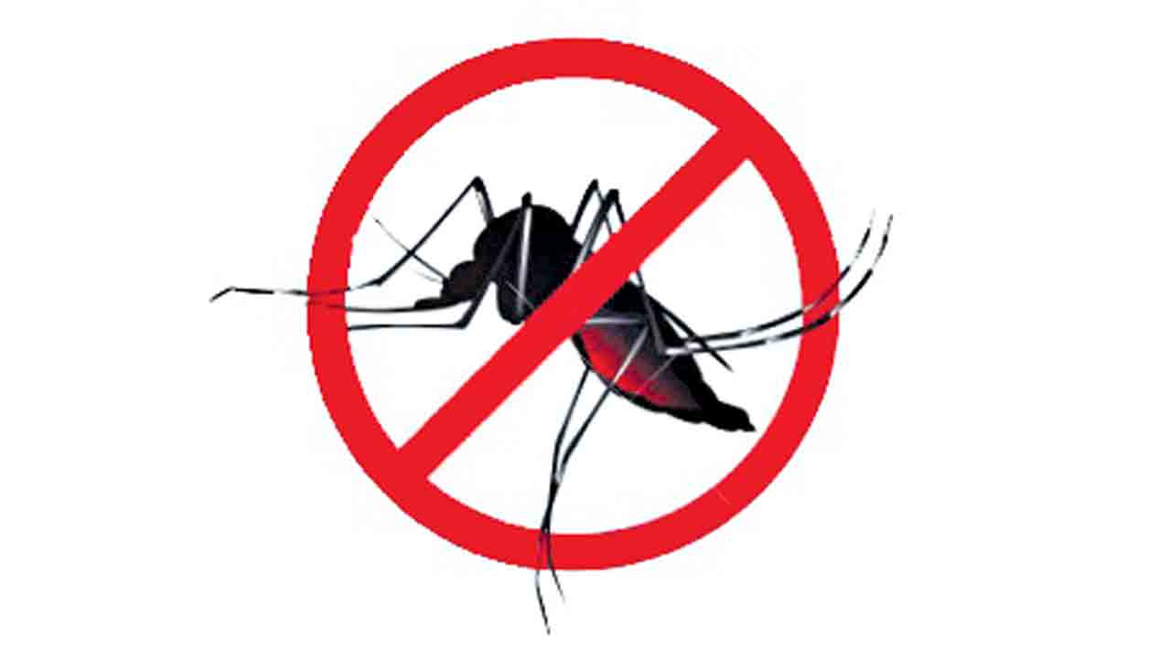 వానాకాలం వ్యాధులు రాకుండా