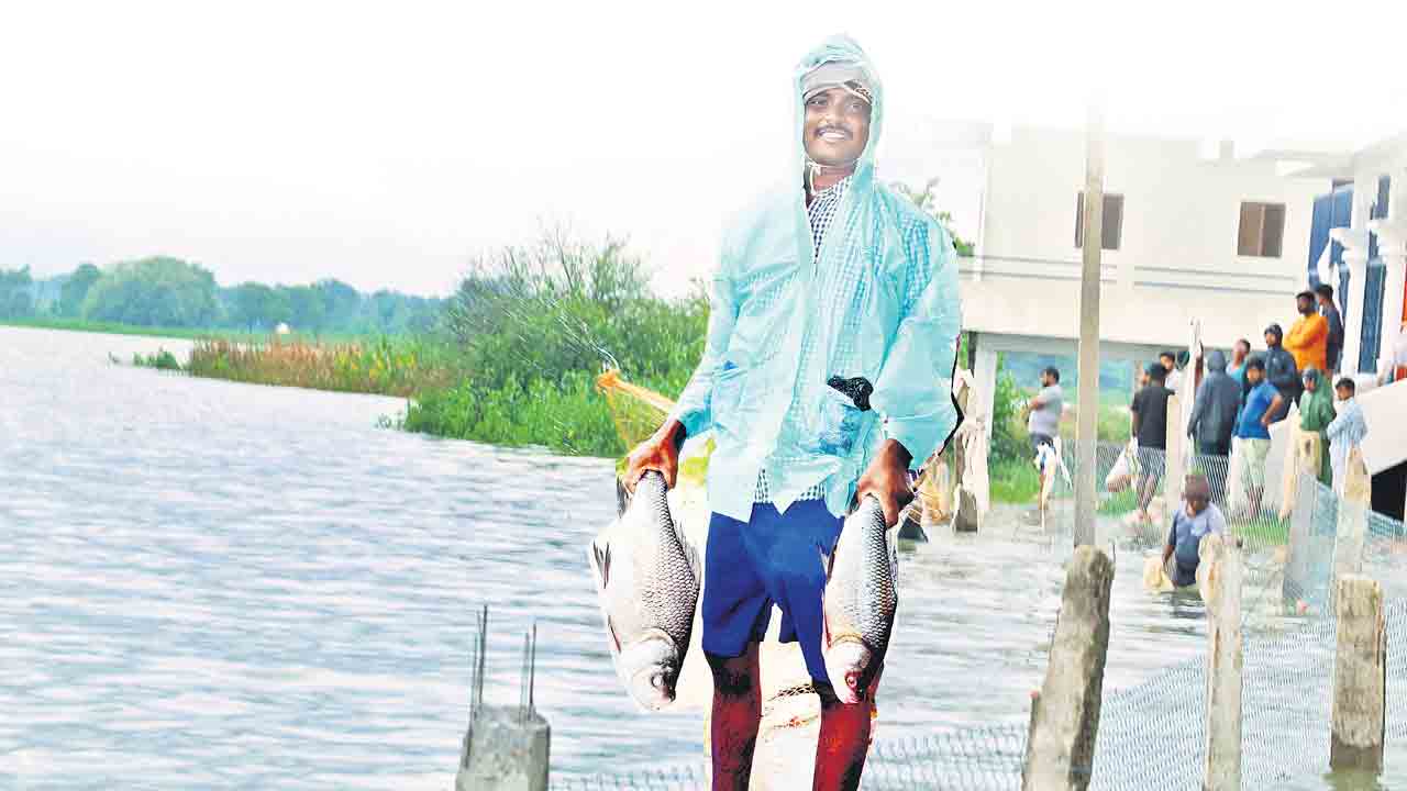 చేపల పండుగ