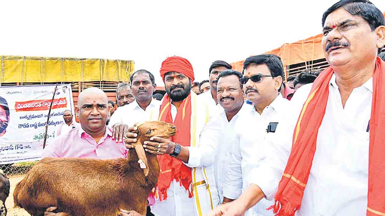 గొర్రెల పంపిణీతో మారిన జీవితాలు