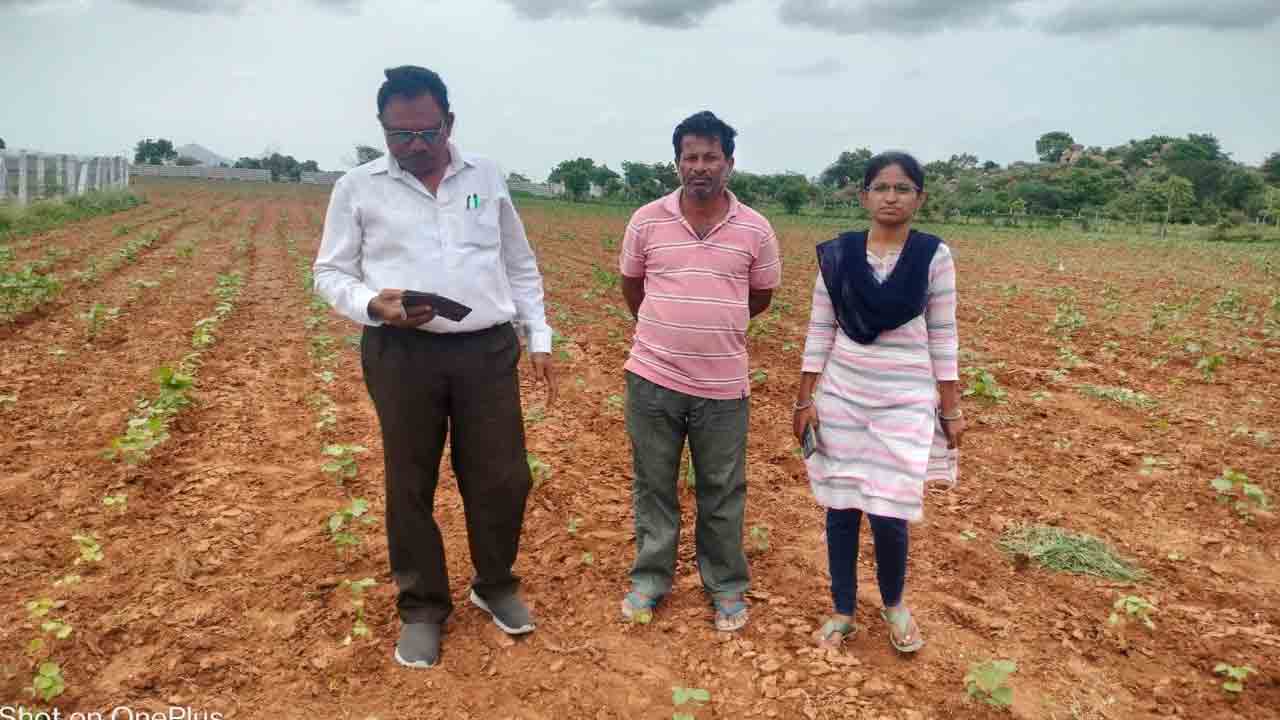 సమగ్రంగా సాగు లెక్క