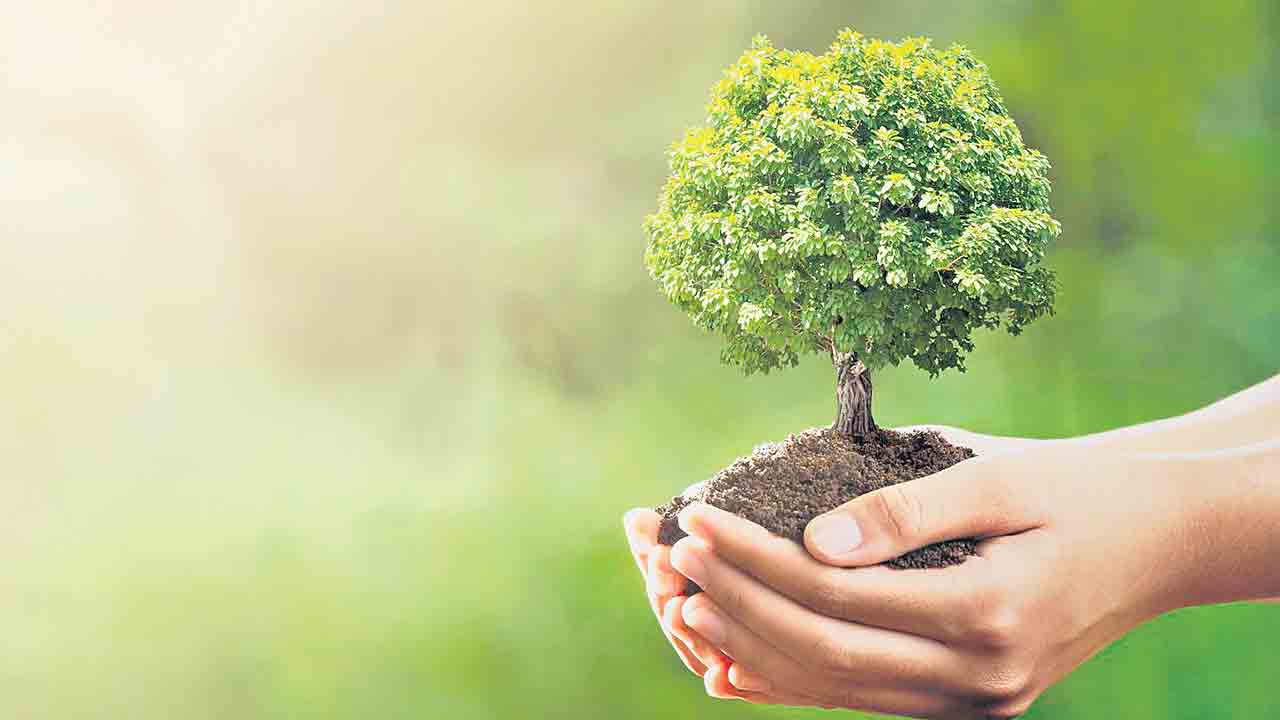 సతతం.. హరితం