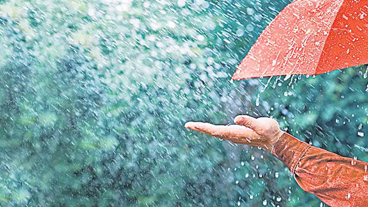 చిటపట చినుకులు