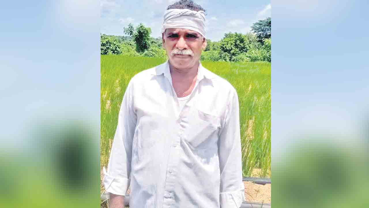 ఎవుసం విలువ ఏం తెలుసు..