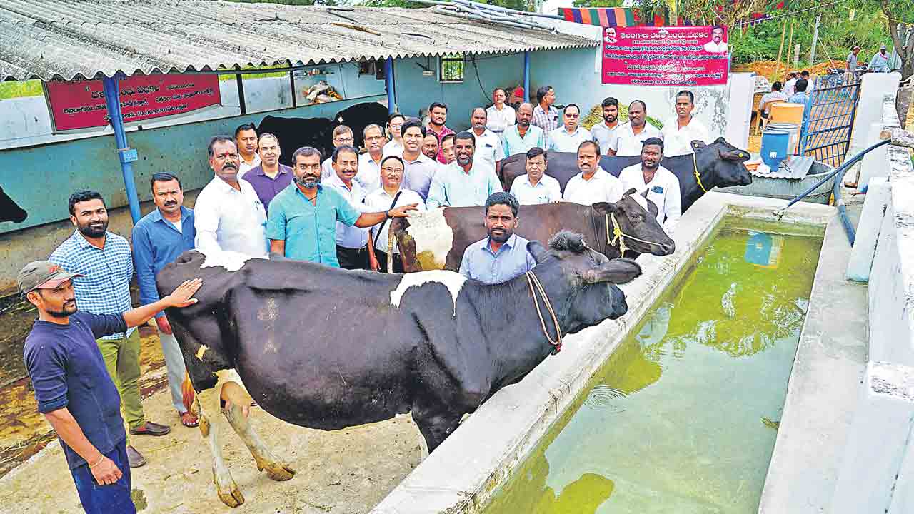 తెలంగాణ పథకాలు దేశానికే ఆదర్శం