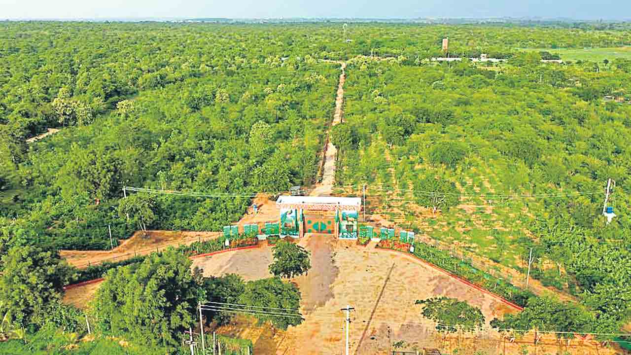 7.82 కోట్ల నిధులు 14 అర్బన్‌ ఫారెస్టు పార్కులు
