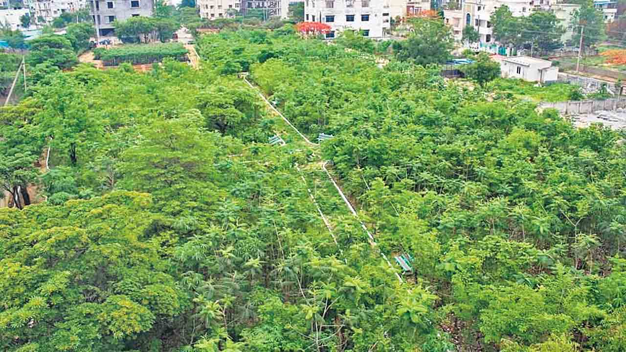 పది రోజుల్లో 10 లక్షల మొక్కలు