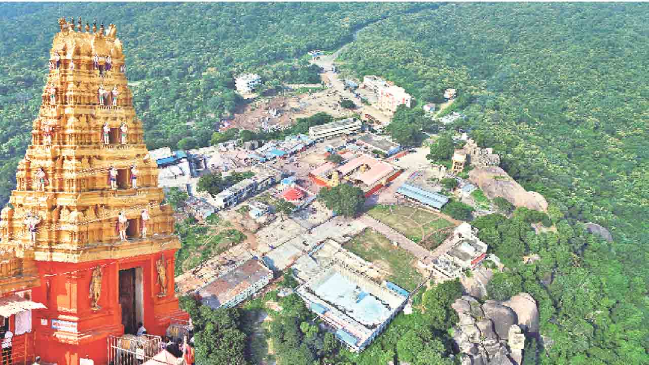 కొండగట్టు అటవీక్షేత్రానికి పునరుజ్జీవం